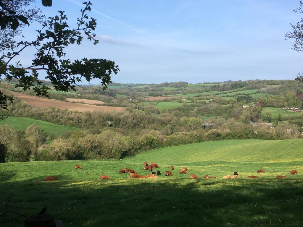 35 acres, Conservation, Midford, Bath, BA2 photo 2