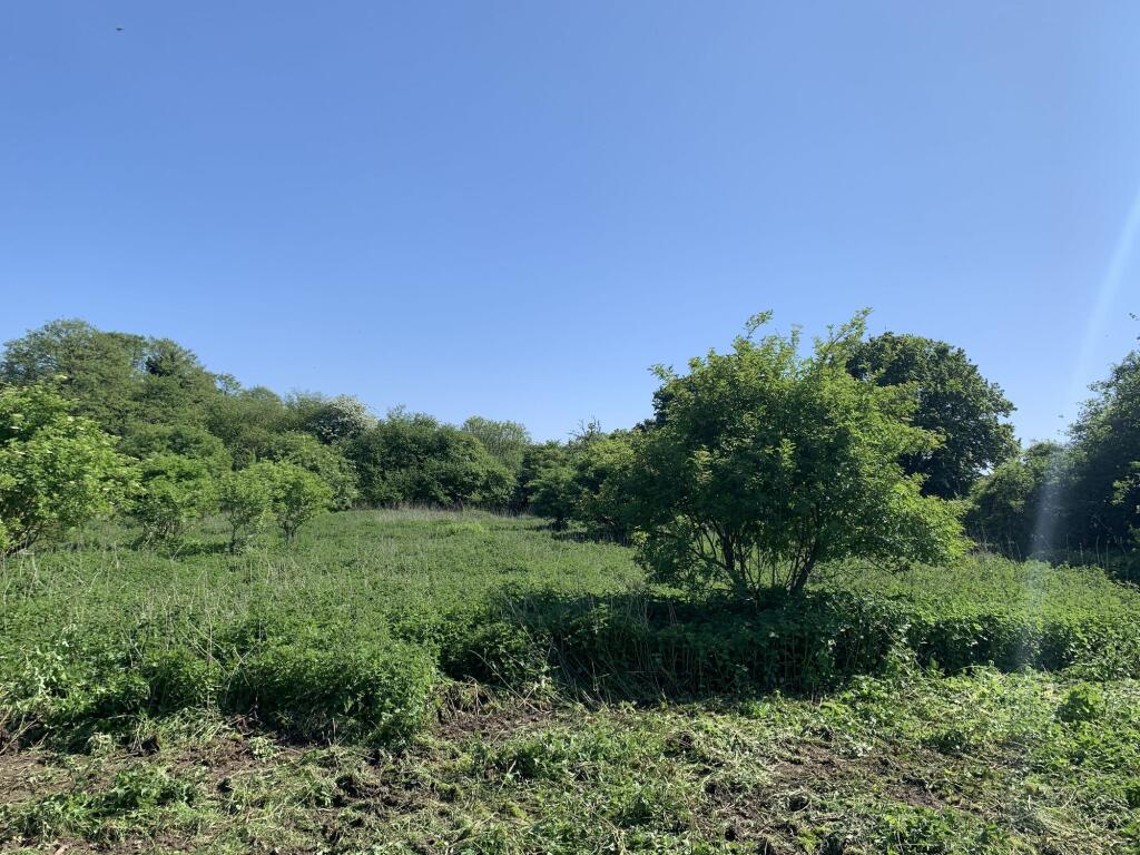 Mill Pond Lane, West Ashling, PO18