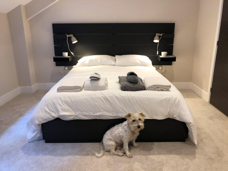 Apartment in Exeter, Newtown - View 4