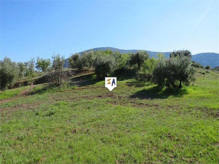 Main image of property: Andalucia, Jaén, Las Casillas