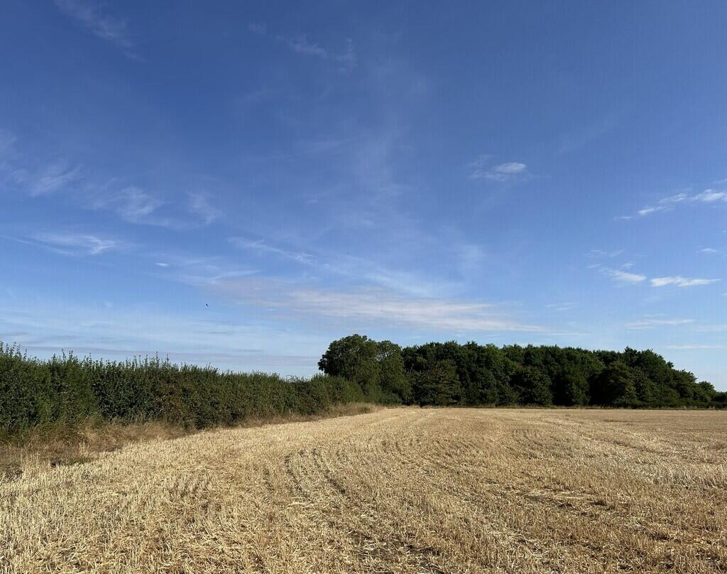 Clopton Road, Old Weston - View 4