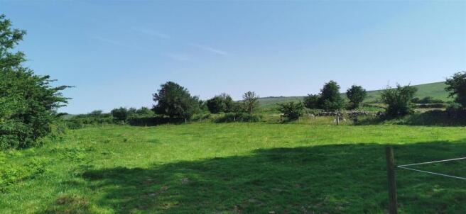 Upper Paddock