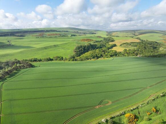 Farmland