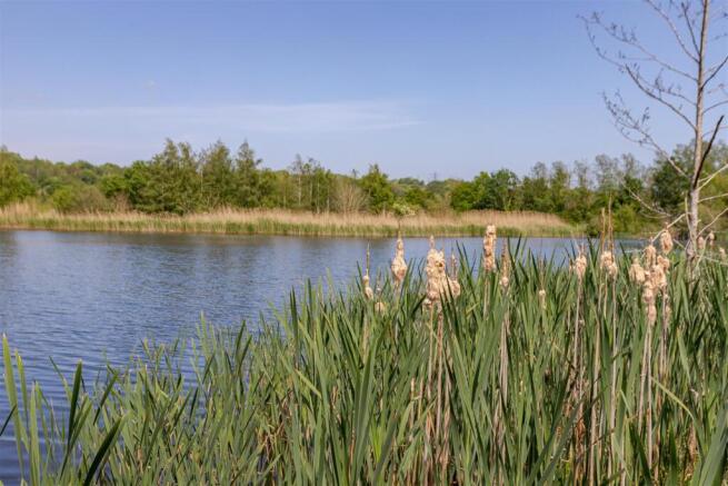 Escomb Nature Reserve
