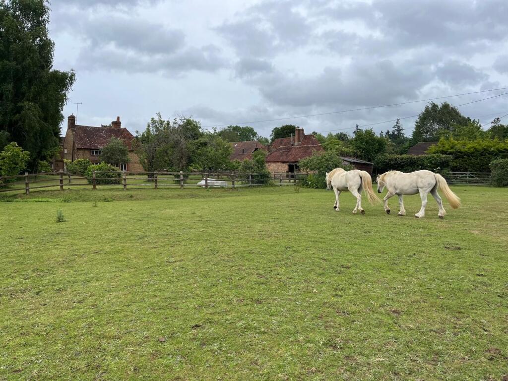 Amberley Lane, Milford, Godalming, GU8 photo 4