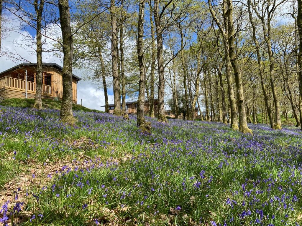 Main image of property: Llanidloes, Llanidloes, SY18 6PQ