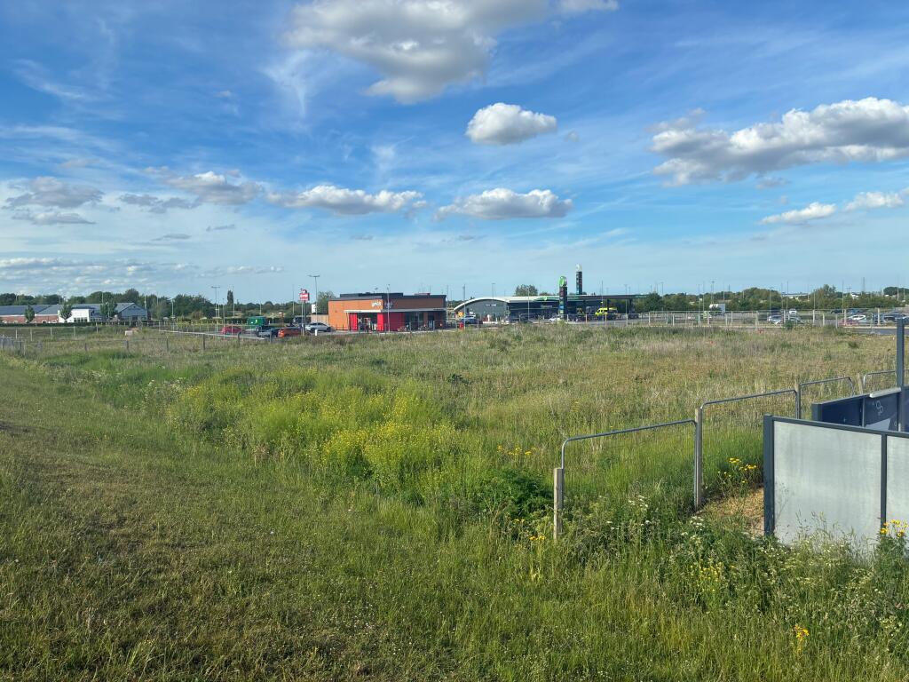 IMG_0859.jpeg
