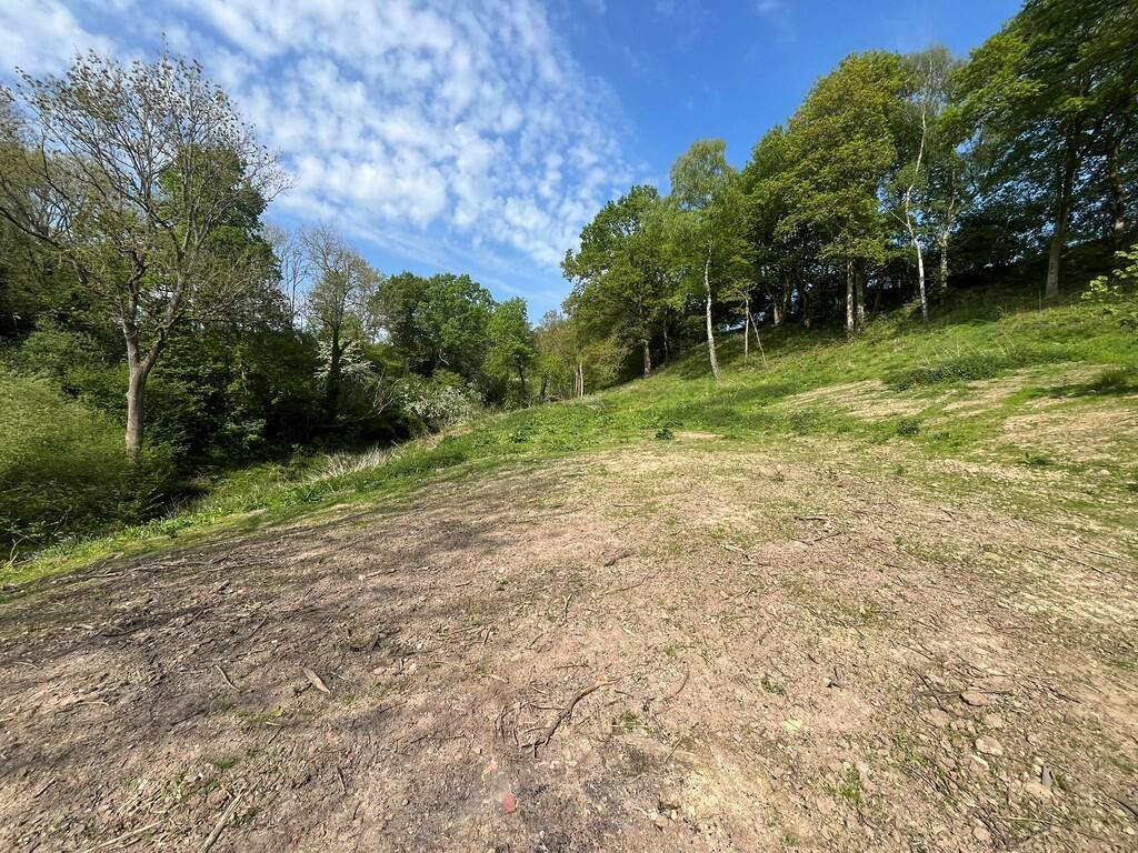 Pensax Common, Stockton, Worcester photo 4