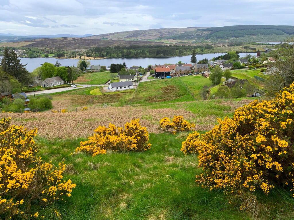 Croft 29 Lower Lairg, Lairg, Sutherland IV27 4EG - More