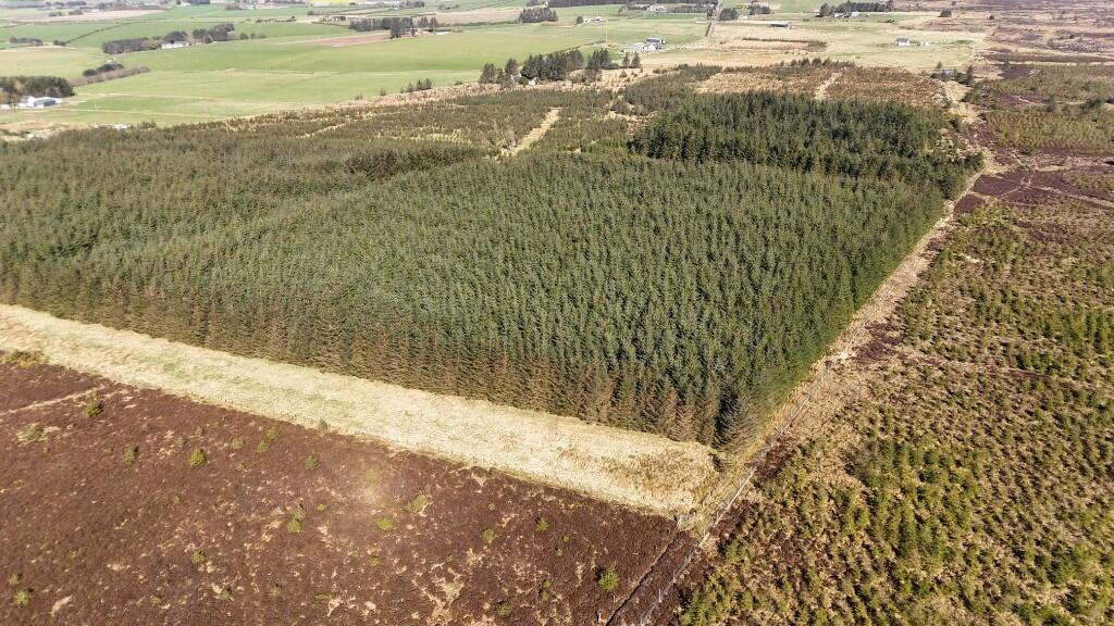 Additional image 7 of Woodland at Broadmuir, Hill of Fisherie, Turriff, AB53 5QL