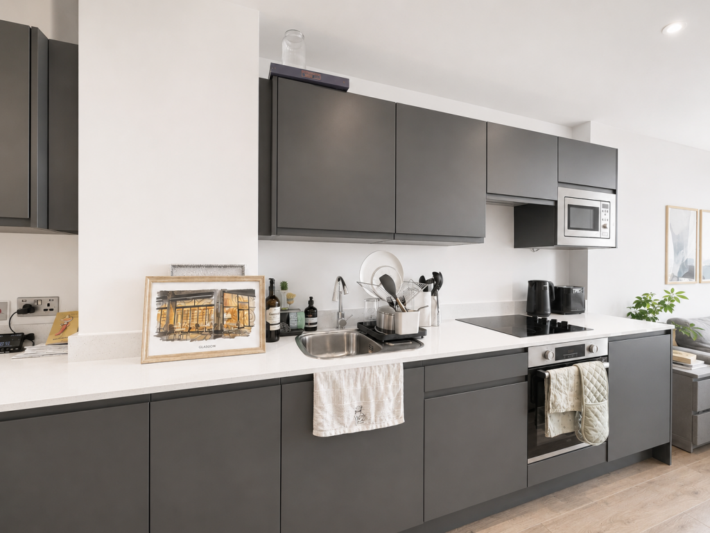 1 bedroom apartment for rent