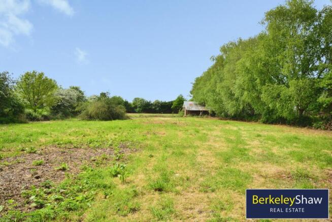 Back Field
