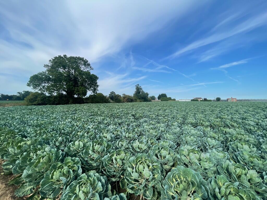 Main image of property: 13.88 Acres at Hoffleet Stow