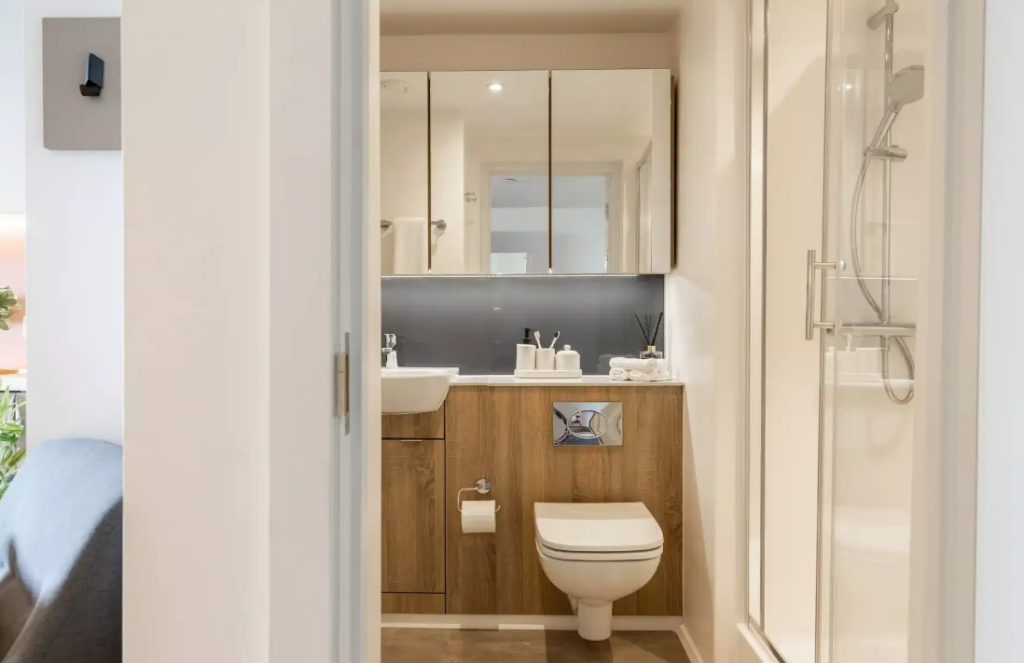 1 bedroom apartment for rent