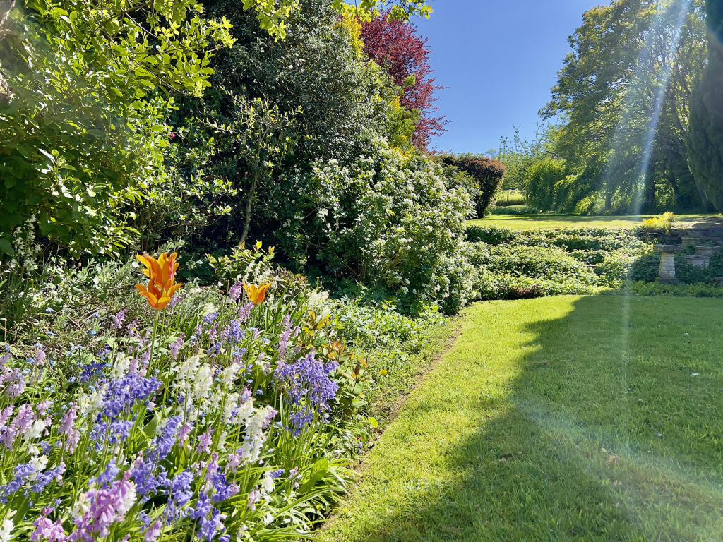 House in Taunton - View 5