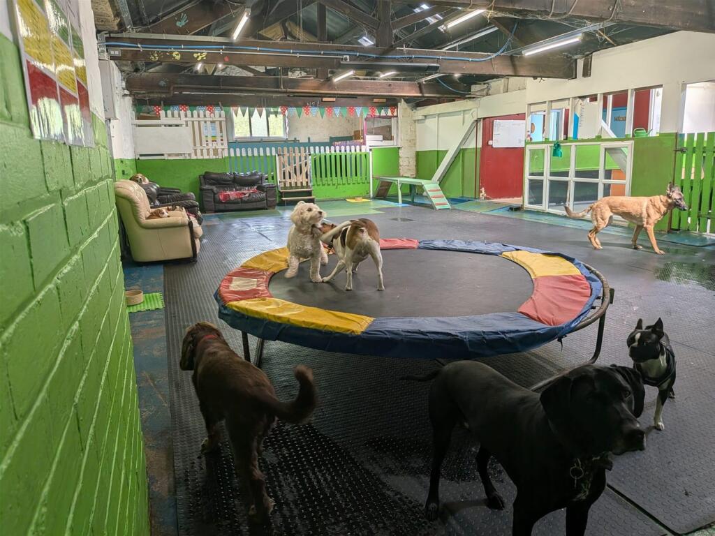 Main image of property: Pets, Supplies & Services, Lower Darwen, Lancashire