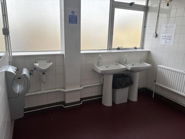 Photo 11