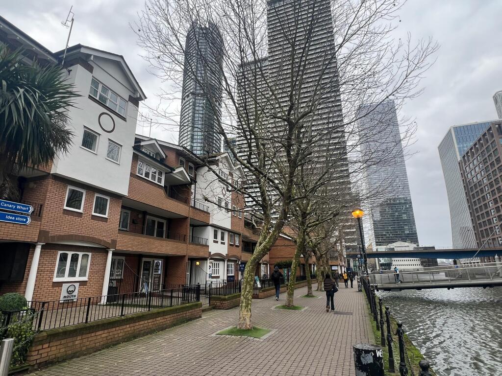 IMG_2030.jpeg