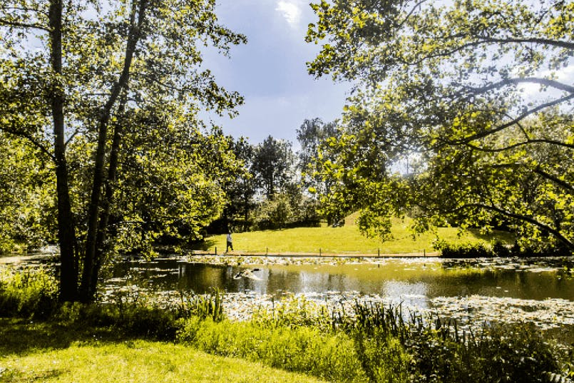 Extensive grounds