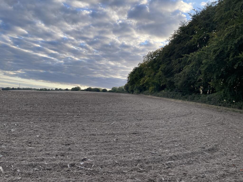 Land at Mare Lane, Owslebury, Winchester, SO21 1LF - View 3