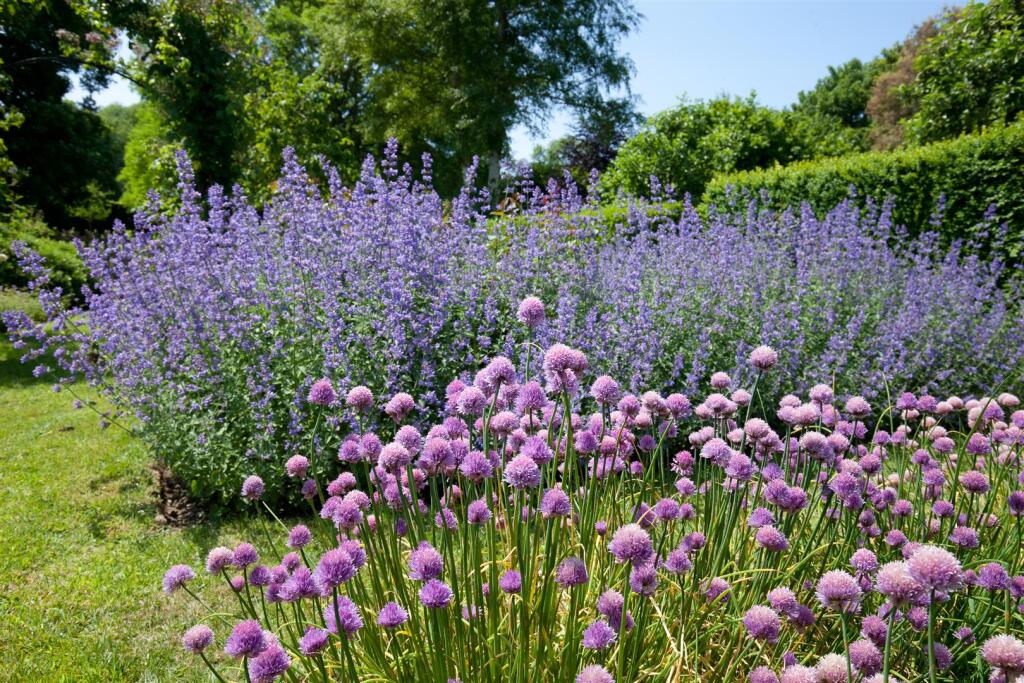 Additional image 28 of East Coker, Somerset