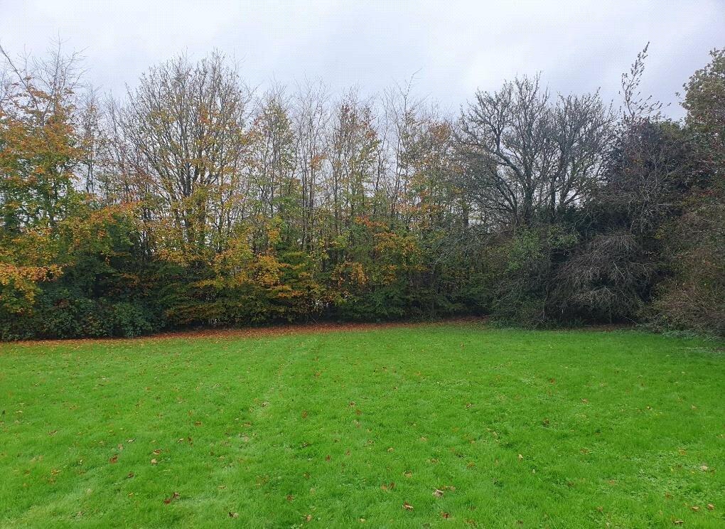 Lower Street, Ninfield - View 5