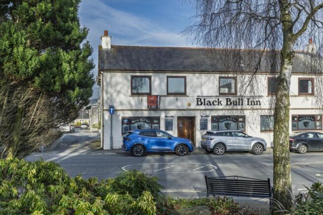 BlackBull_242-HDR