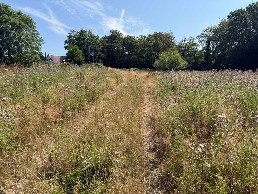 Land at Chipperfield, Charmouth Road, Axminster - More