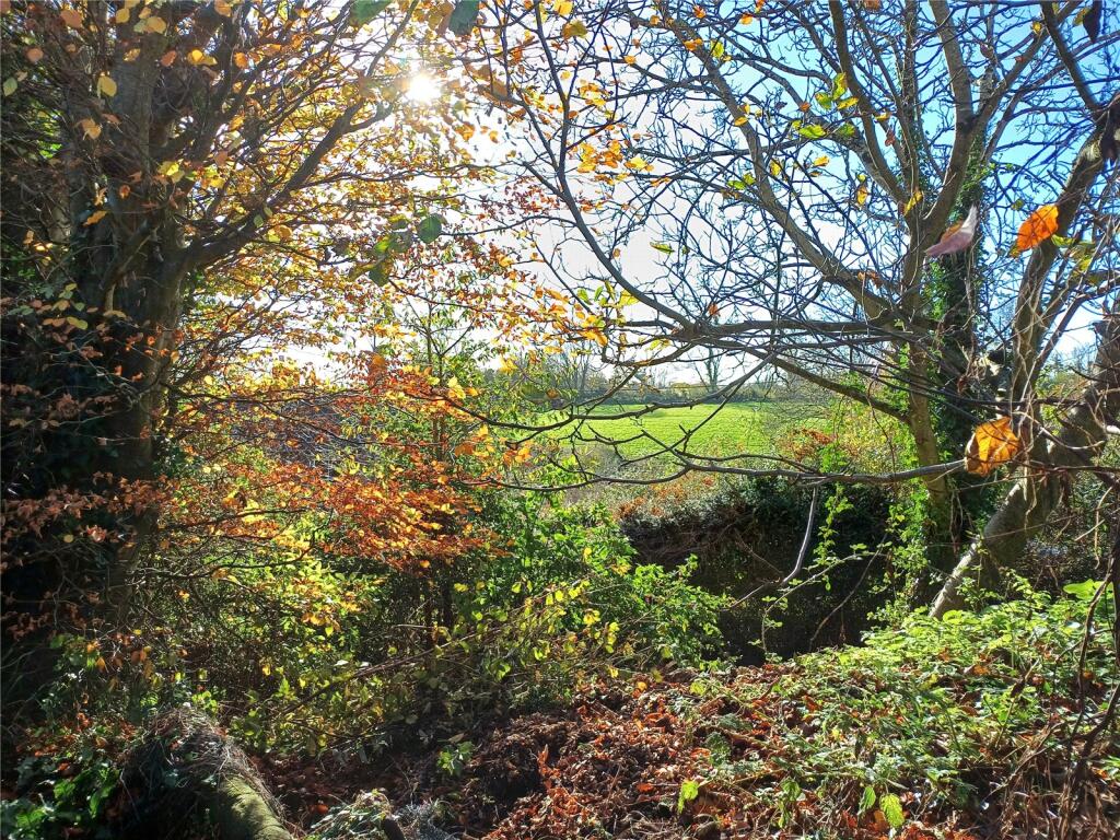 Hillways, Whitecross, Netherbury, Bridport, DT6 photo 3
