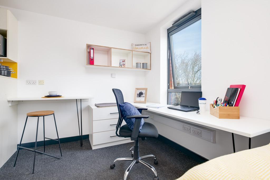 Studio flat for rent