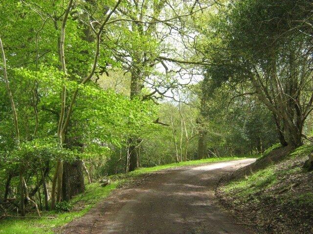 Main image of property: Holford, Bridgwater, Somerset, TA5