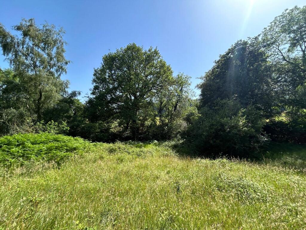 Main image of property: Monkton Wyld, Bridport, Dorset, DT6