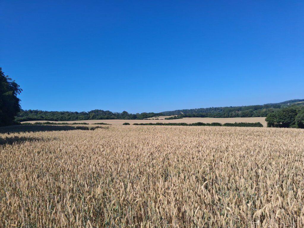 Main image of property: New Cut Road, Canterbury