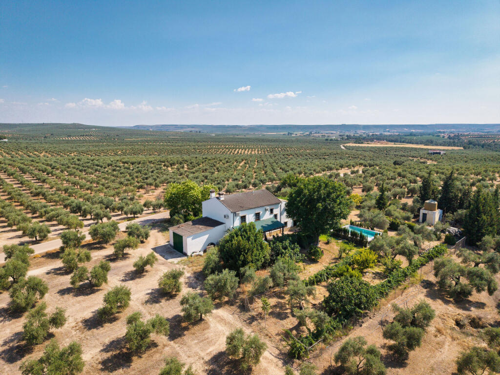 Main image of property: Andalucia, Jaén, Marmolejo