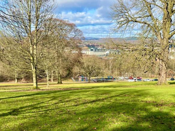 Parkland views