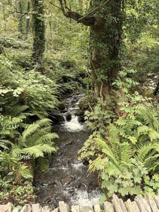 Stream view to the front of the main entrance