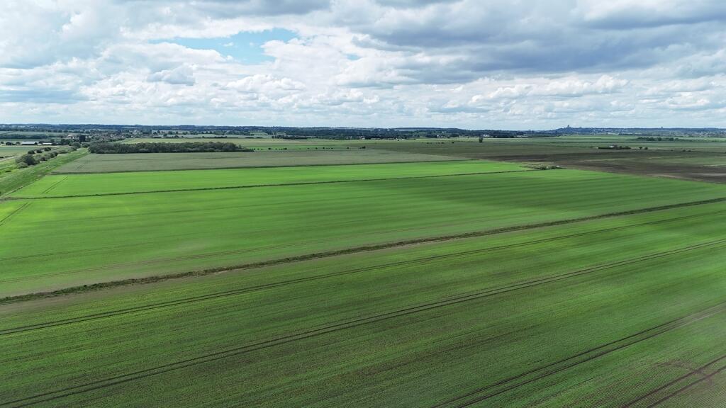 Main image of property: 201.26 Hectares (497.34 Acres), Land At Branston Booths, Heighington Fen, Lincolnshire, LN4 1AQ