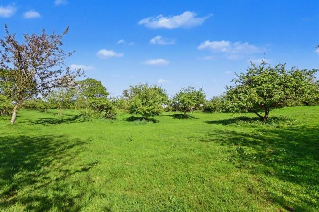 Orchard