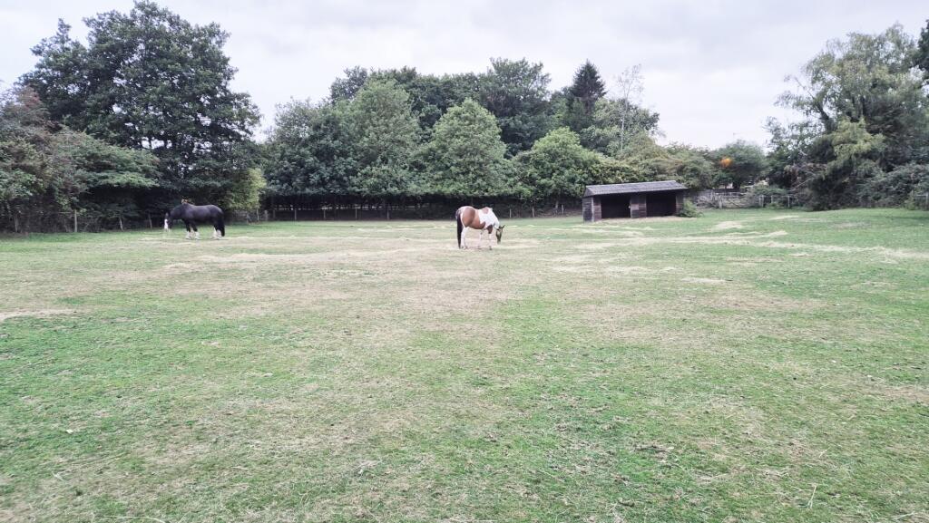 Main image of property: South Wootton  NORFOLK