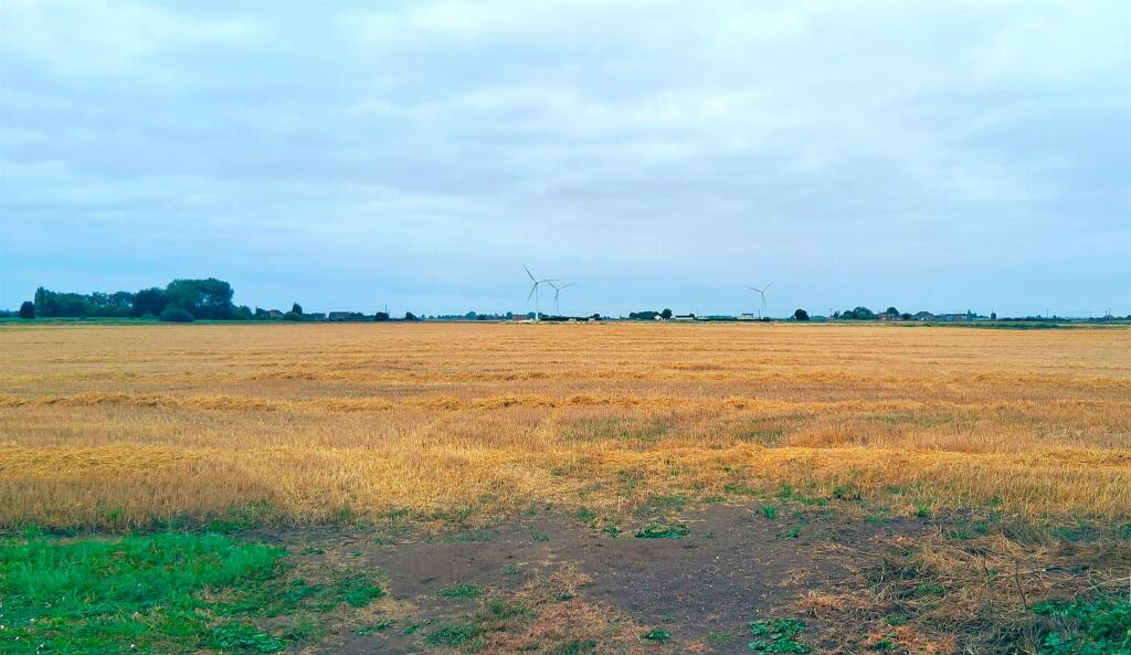 Chapel Lane, Turves, Peterborough photo 3