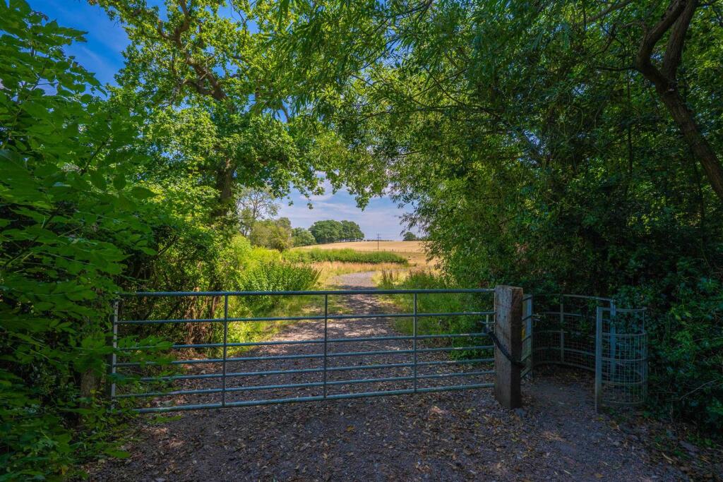 Kixley Lane, Knowle - View 5