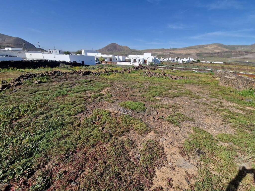 Main image of property: Guatiza