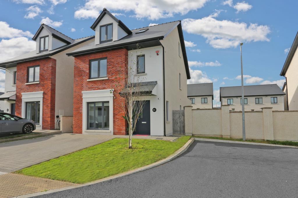 Main image of property: 61 Newtown Meadows, Castletroy, Limerick, V94023R