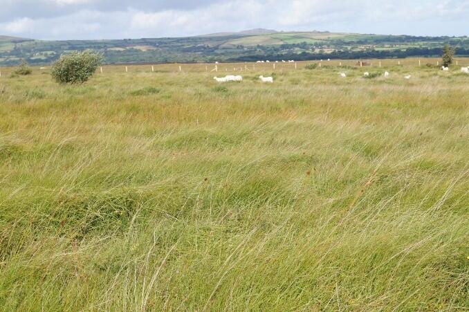 Main image of property: Croswell, Crymych. SA41 3SB