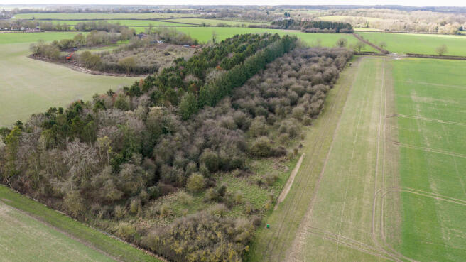 Lot 5 - Wood