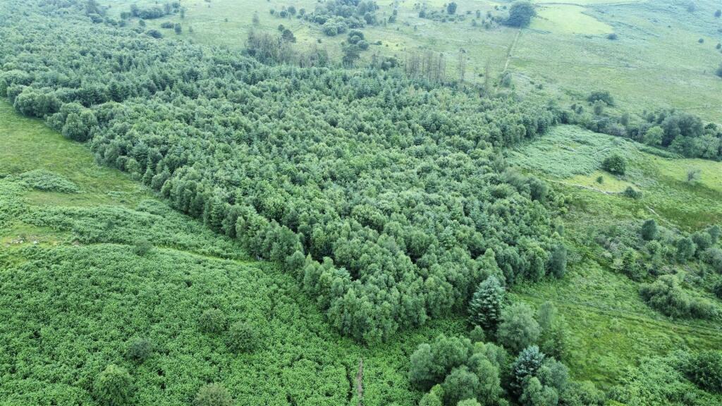 Main image of property: Cellan, Lampeter