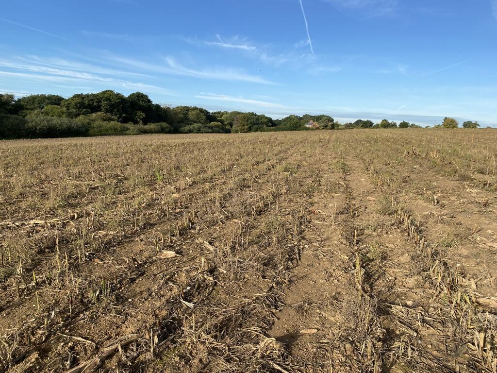 Main image of property: 4.65 Ha (11.50 Ac) Arable Land, School Road, Horning , Norwich, Norfolk, NR12