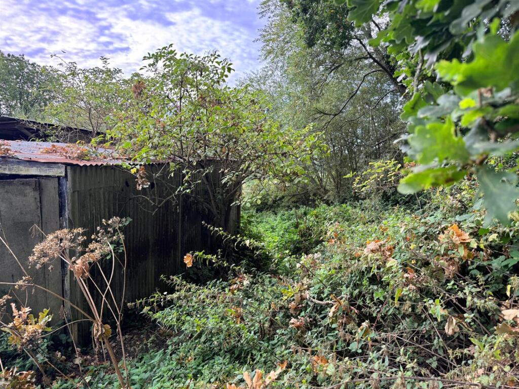 Watermill Lane, Icklesham, Winchelsea - More