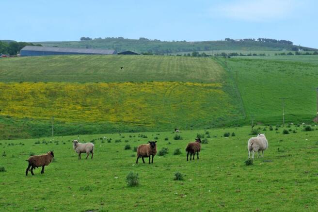 Image 12