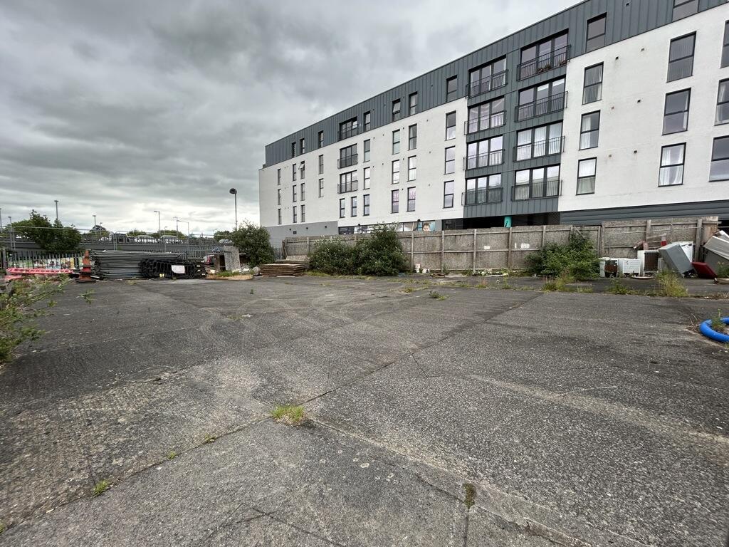 Photo 5